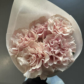 Кулек комплимент из 5 розовых французских роз от студии Mnogo Tsvetov