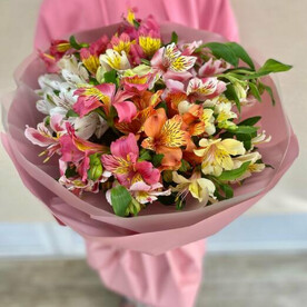 Альстромерии 13шт