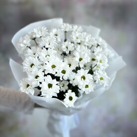 Букет из белых кустовых Хризантем