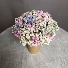 Композиция из цветной гипсофилы