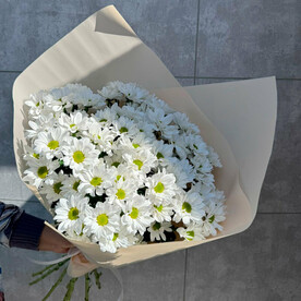 Букет из 11 хризантем Чик