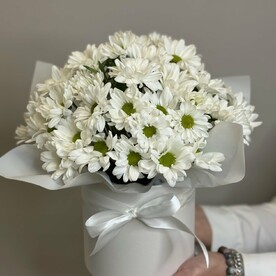 Хризантема в коробке