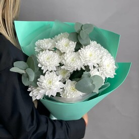 Хризантема кустовая с эвкалиптом