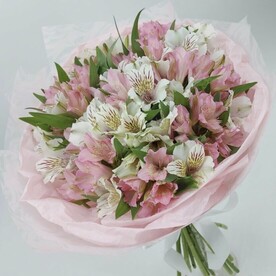 Альстромерии белые и розовые 19 шт