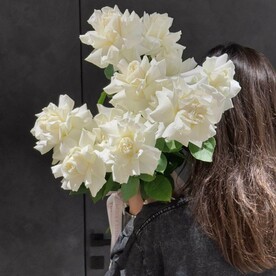 Белая французских роз 9 штук