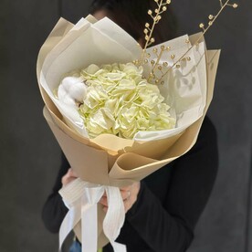 Гортензия с хлопком