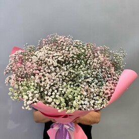 Гипсофила радужная