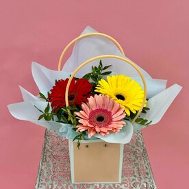 Сумочка моно гербер