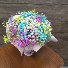 Радужная гипсофила