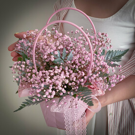 ⭐️ Гипсофила "Розовое облако"