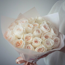 ⭐️ Ароматные пионовидные розы Вайт Охара "Мадмуазель Коко"
