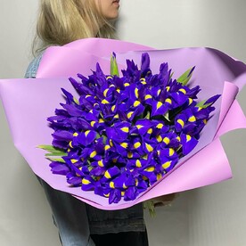 49 фиолетовых ирисов