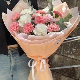 Диантусы «Нежность»