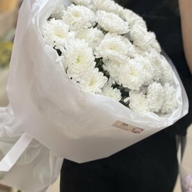 Хризантема