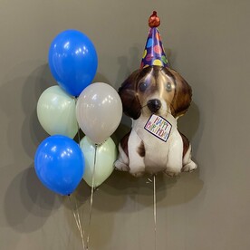 Набор Щенок в колпаке