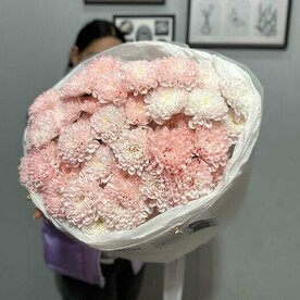 Пышное облачко кружевных хризантем 🤍