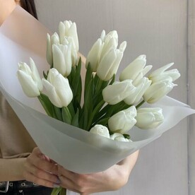 Белоснежные тюльпаны