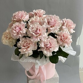 17 французских роз в коробке