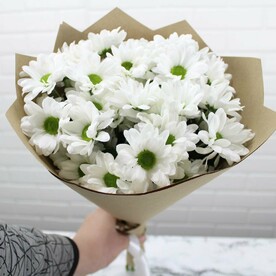 Снежная радость