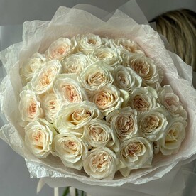 White O hara пионовидные розы 25 штук