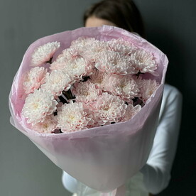 Кустовая Хризантема 5🌸