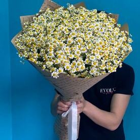 Букет из ромашек