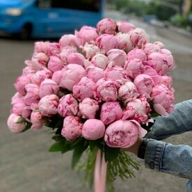 Букет из 51 пиона под ленту