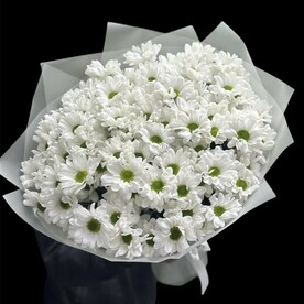 Букет из ромашковых кустовых хризантем 15 шт