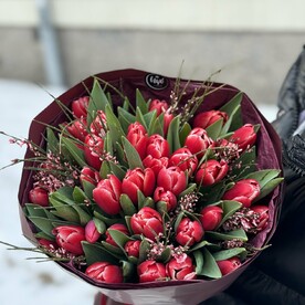 Красные тюльпаны