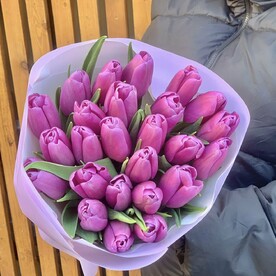 Лавандовые тюльпаны моно