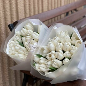 Белые тюльпаны монобукет