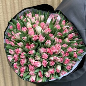 101 пионовидный тюльпан