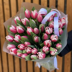 Тюльпаны премиум