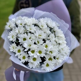 7 ромашек в белом