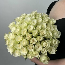 51 белая роза