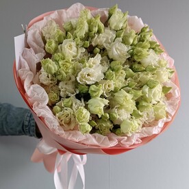 Моно букет из эустомы