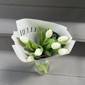 Белые тюльпаны