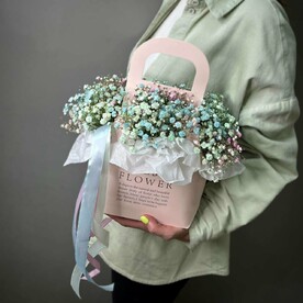 Сумочка из цветной гипсофилы