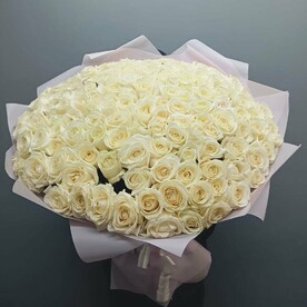 151 белая длинная роза