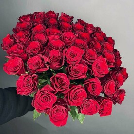 51 красная эквадорская роза 60