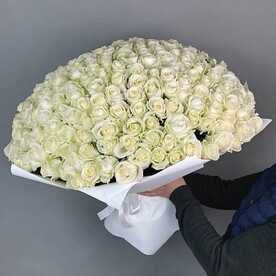201 белая роза 60 см