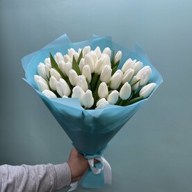 Тюльпан белый