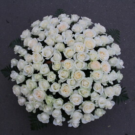 Белоснежка