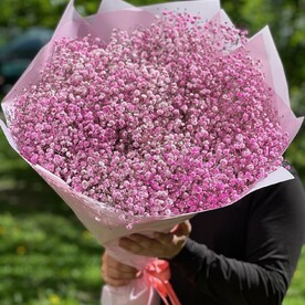 Букет из 25 гипсофил