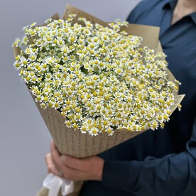 Букет  из 25 ромашек