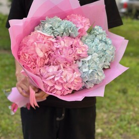 Букет из 7 гортензий