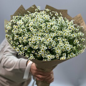 Букет из 23 ромашек