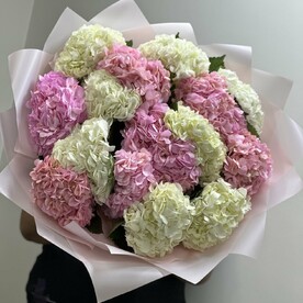 Розовая симфония