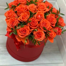 Роза вау, Писташ, Коробка