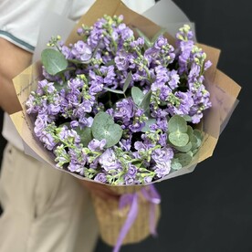 Маттиола, Дизайнерская упаковка